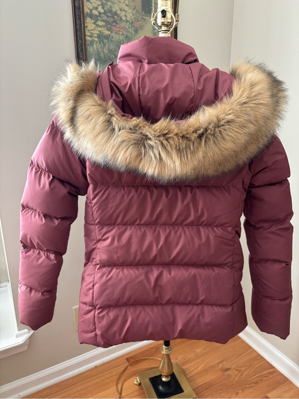 The North Face Gotham Hooded Down Jacket in Wild Ginger Mauve Size S - Picture 6 of 16